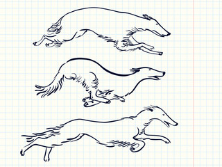 working dogs