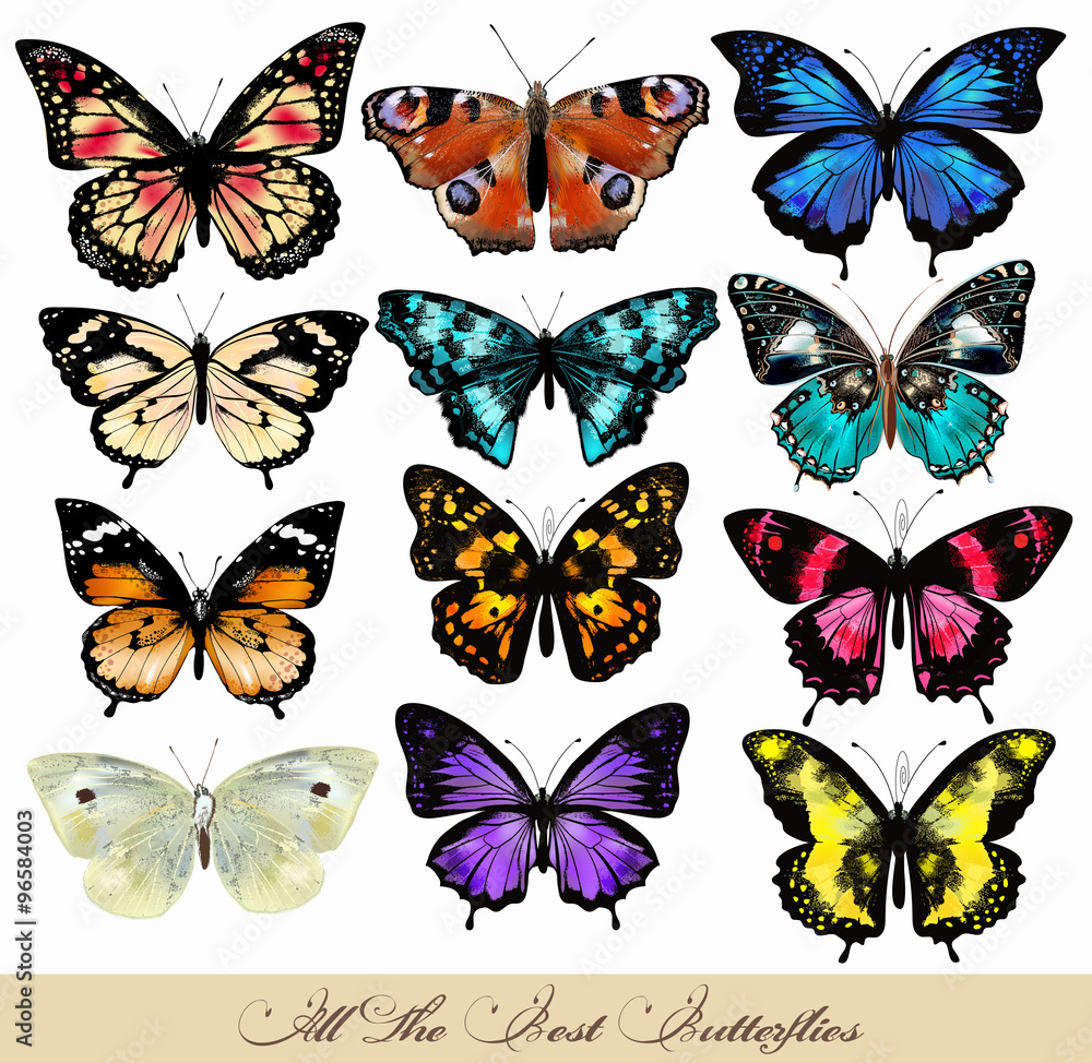 Aufkleber set of realistic vector butterflies for design