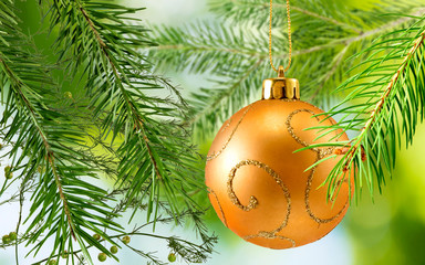 christmas balls on the christmas tree closeup