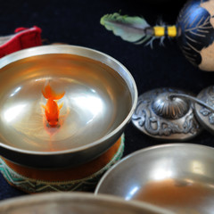 Goldfisch in der Klangschale