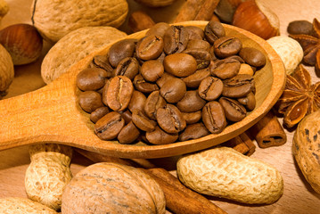  spices, nuts and coffee beans closeup