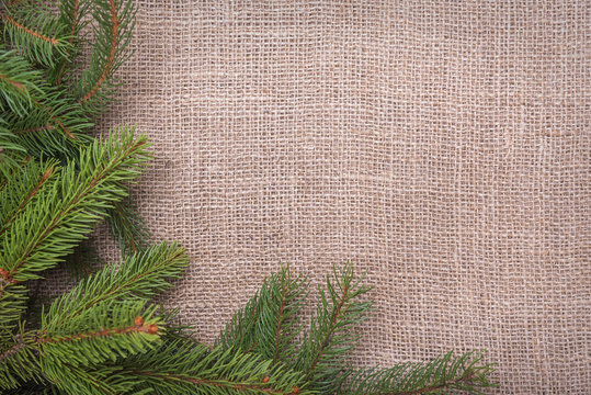 Spruce branches on sackcloth. - Powered by Adobe