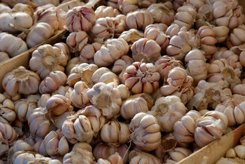 Garlic pile on a market shelf