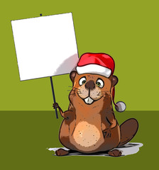 Fun beaver