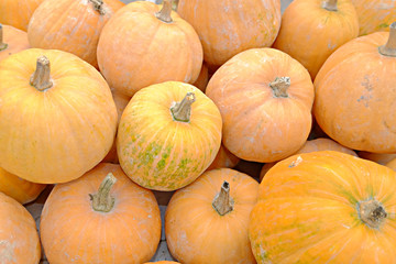 Pumpkins