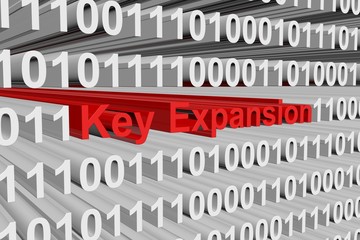 Key Expansion is presented in the form of binary code