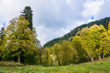 Autumn landscape in the mountains of Abkhazia.