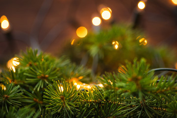 Fir-tree branch with christmas lights over the wooden surface