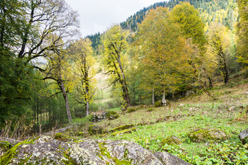 Fototapeta na wymiar Autumn landscape in the mountains of Abkhazia.