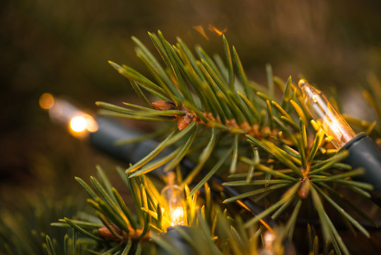 Fir-tree branch with christmas lights over the wooden surface