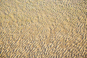 dune in africa brown  wet sand   near atlantic ocean