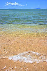 paradise beach seaweed  indian ocean nosy be    foam