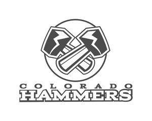 American football label. Hammer logo element innovative and creative inspiration for business company, sport team, university championship etc. Usa sports emblem. Vector