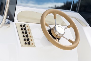 Instrument panel and steering wheel