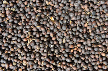 Coffee Beans Background.
