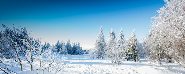 Obraz na płótnie Canvas Paysage d'hiver