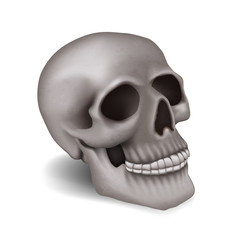 Calavera 3d sobre fondo blanco