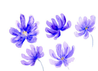 Obraz na płótnie Canvas Watercolor flower shapes