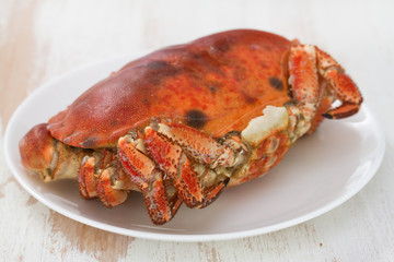 boiled crab on white plate on white wooden background
