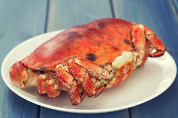 boiled crab on white plate on blue wooden background