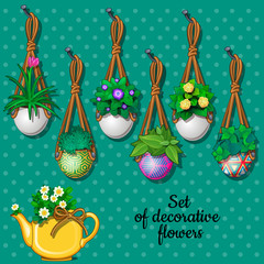 Set of flowers in hanging pots and kettle, 7 different elements