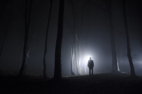 Fototapeta night in forest man silhouette and fog