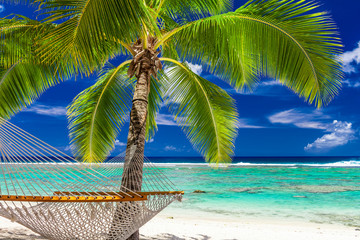 A palm tree with a hammock on the beach of Rarotonga, Cook Islan
