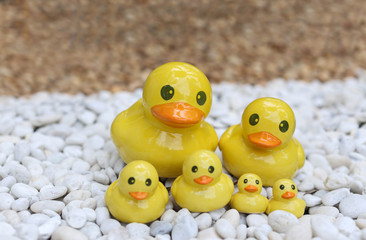 Group of yellow duck statue on white and brown rock garden