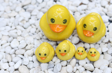 Group of yellow duck statue on white rock garden