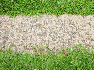 Naklejka premium Grass with walkway background
