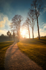 Path autumn park