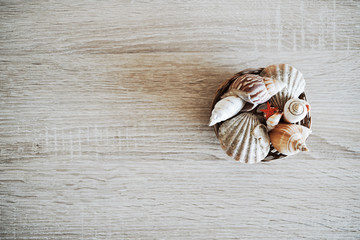 Seashell decoration