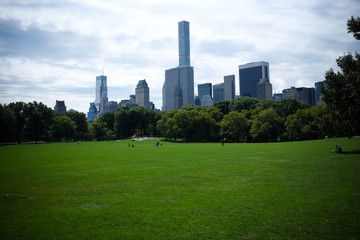 Fototapeta premium Central park of New York