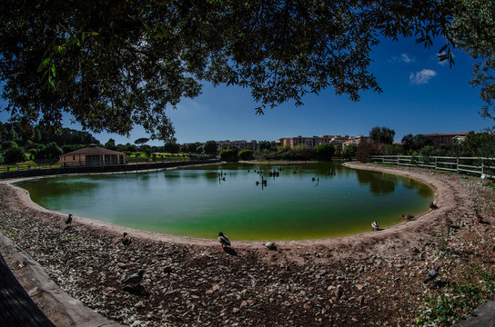 Parco Monte Claro