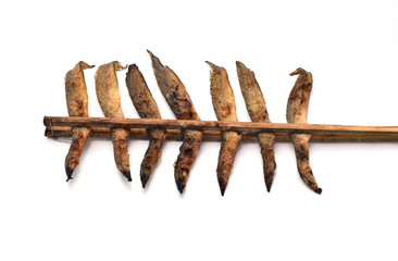 Moray was grilled with clamping  cut of bamboo  for cooking on a white background.Thai style food. Good taste and good smell.