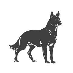 Vector image of an dog