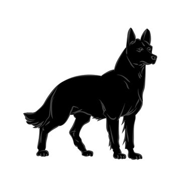 Vector image of an dog