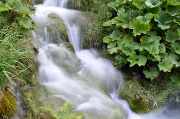 Cascade dans la verdure à Plitvice