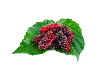 Mulberries with a leaves isolated on white background