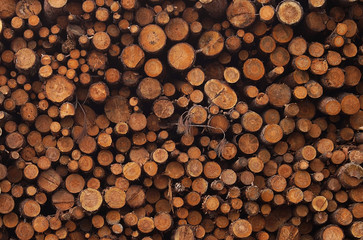 The logs of different diameters