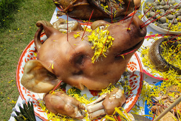 pig's head are sacrificial offering in worship