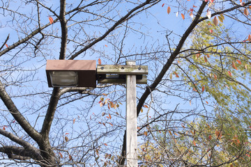 公園の外灯
