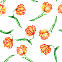 A seamless pattern with the watercolor red and yellow tulips on a white background