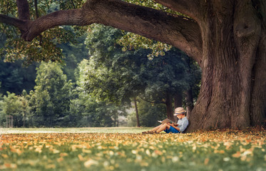 Little boy reading a book under big linden tree © Soloviova Liudmyla