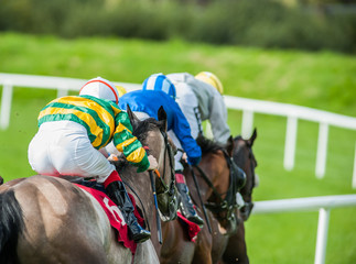 horse race action