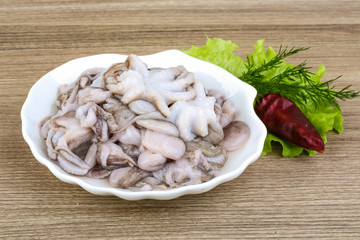 Raw baby octopus