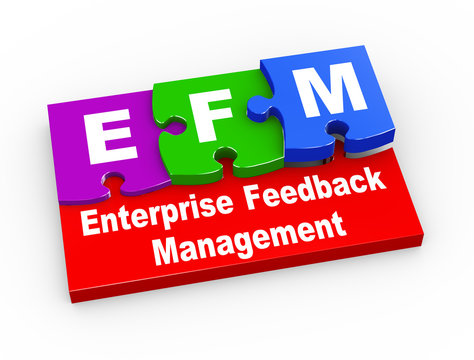 3d efm puzzle pieces illustration