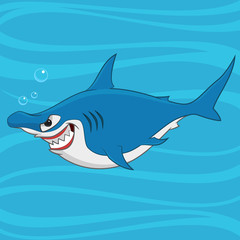 hammerhead shark. Vector illustration.