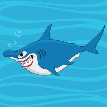 hammerhead shark. Vector illustration.