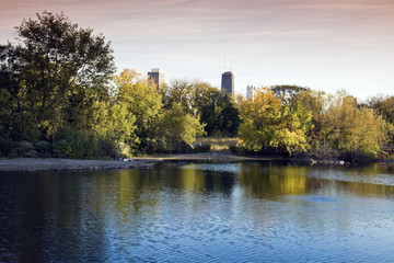 Downtown buildings seen from Lincoln Park